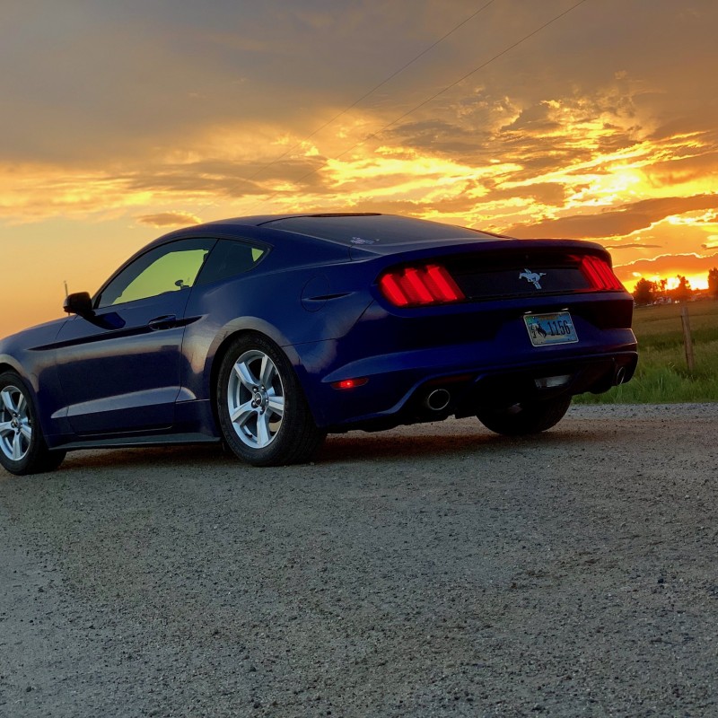 307s550's Ford Mustang