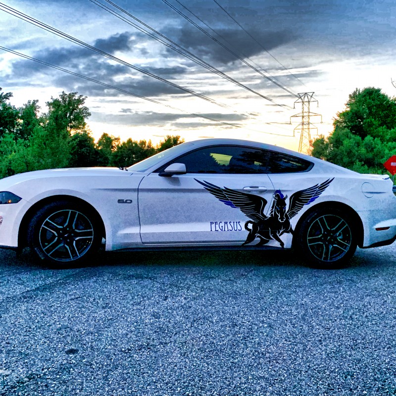 Pegasus_5oh's Ford Mustang GT