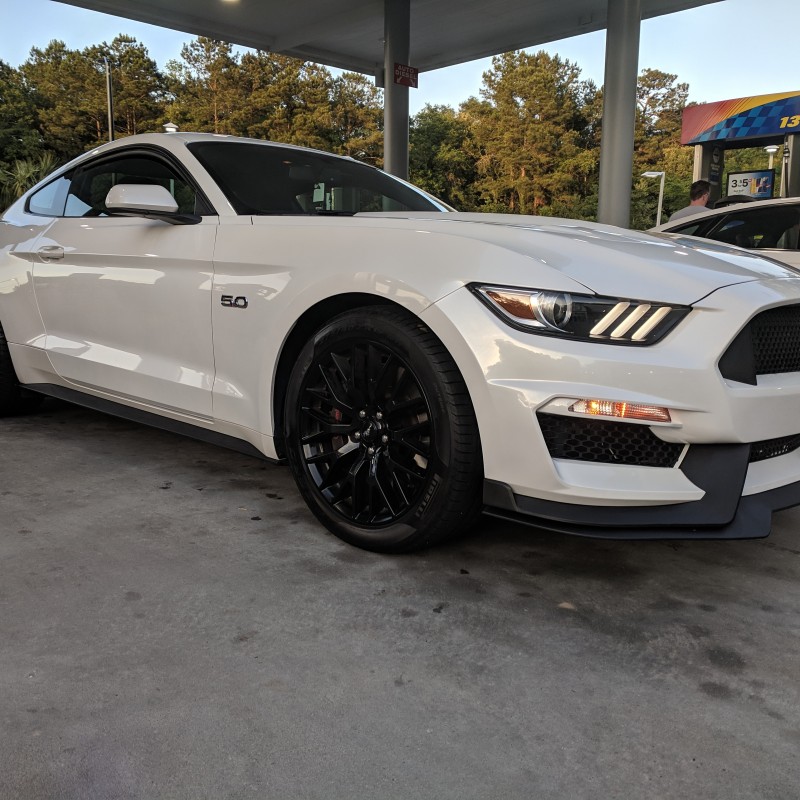 Whyte5.0's Ford Mustang
