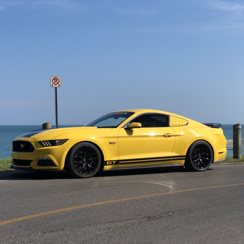 dunnsy's Ford Mustang