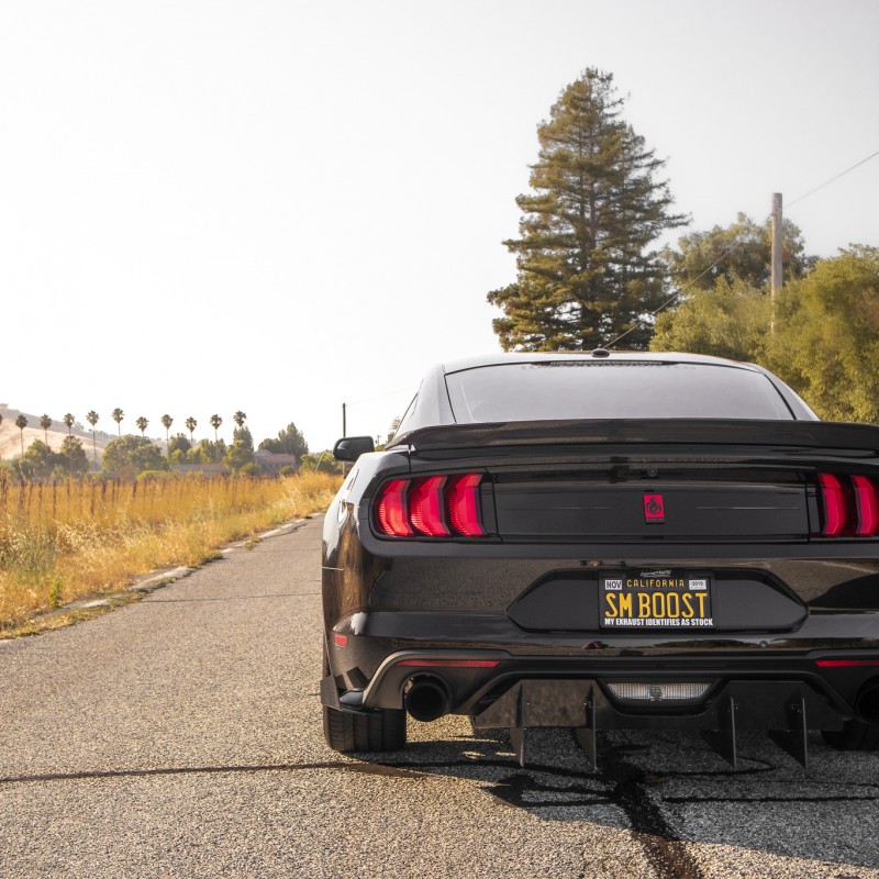 ecohhhgil's Ford Mustang