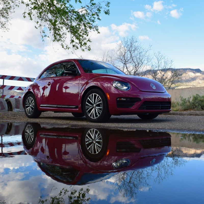 vwpinkbeetle's Volkswagen Beetle